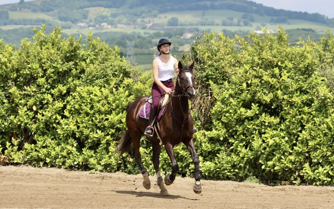Pantalon equitation Miss - Time Rider - 36 / Gris / Très bon - Osmoz  sellerie