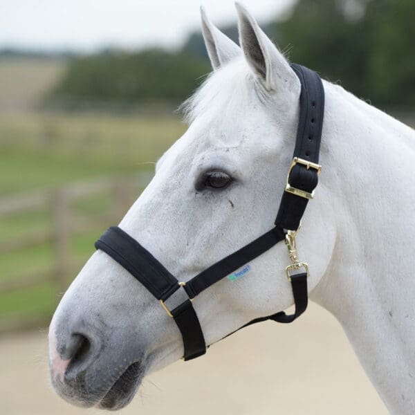 Licol Comfort halter - Bucas – Image 2