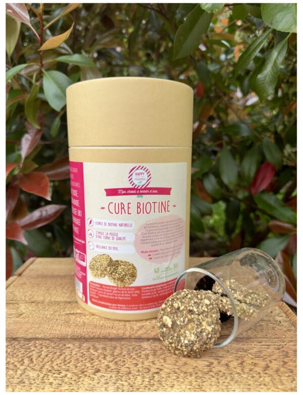 Biotine - Happy crackers