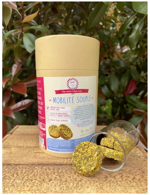 Mobilité souple - Happy crackers