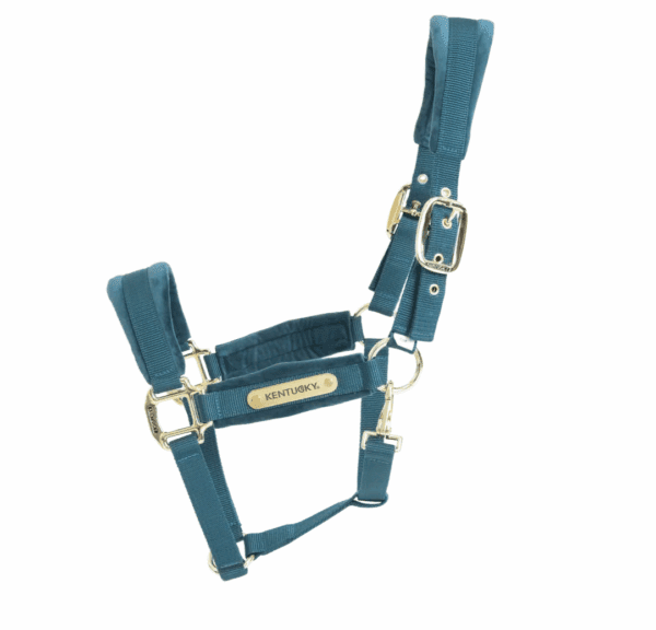 Licol velvet 3 coloris cheval - Kentucky – Image 2